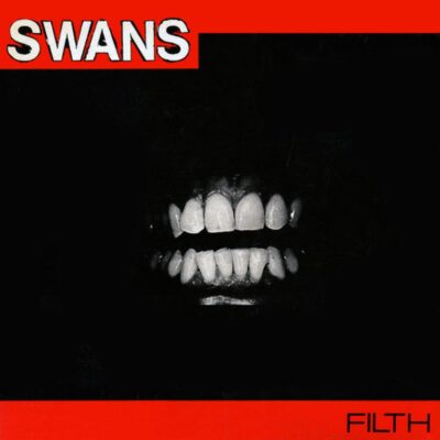 Swans: The Evolution of Sonic Intensity