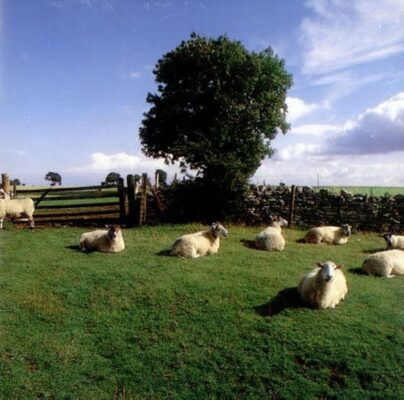 Chill Out. The Journey of KLF’s Monumental ambient Masterpiece