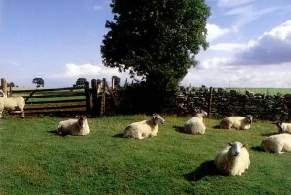 Chill Out. The Journey of KLF’s Monumental ambient Masterpiece