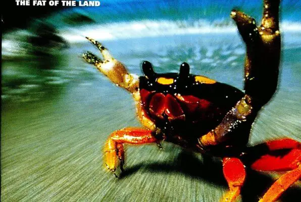 Exploring the Sonic Fury of “The Fat of the Land”: A Journey Through Prodigy’s Iconic Album